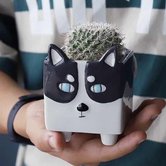 Cute Animal Ceramic Flowerpot