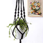 Plant-Linked Hanging Flowerpot