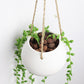 Plant hanging flower pot