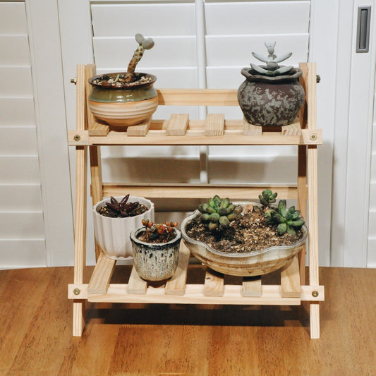 Solid Wood Multi-layer Color Plant Shelf